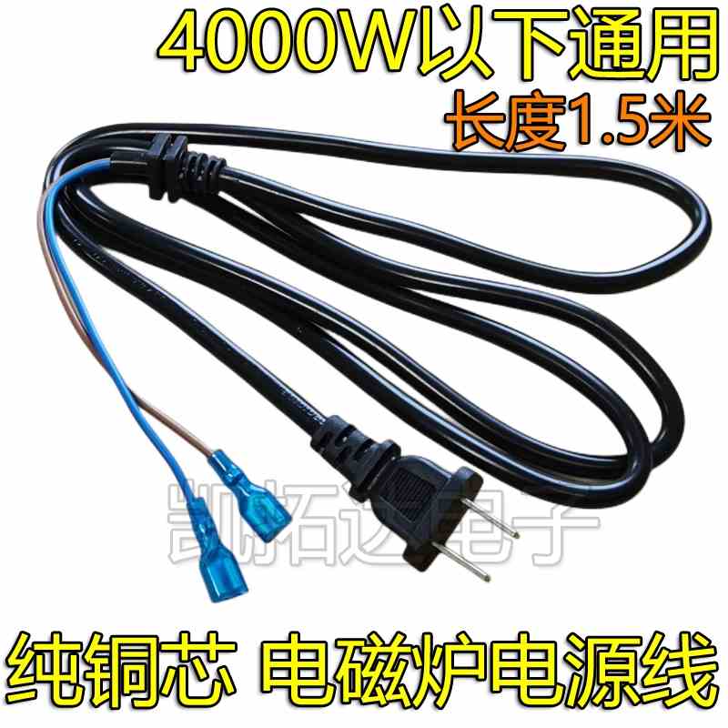 4000W加粗大功率电磁炉专用电源线纯铜两芯带插头连接线1.5平方
