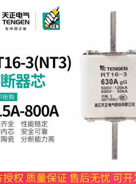 TENGEN天正 熔芯RT16-3方管刀形熔断器NT3保险丝RT36-3 400A 630A