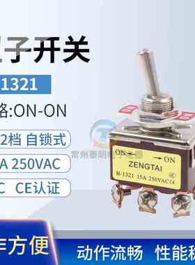 小钮子开关摇臂摇头拨动开关ETEN 1321 6脚2档双刀开关ON-ON 12MM