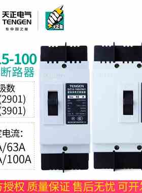 TENGEN天正电气塑壳断路器3P空气开关DZ15-100/3901 2901 100A63A