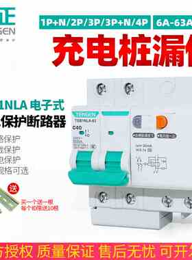 TENGEN天正 充电桩用漏保开关TGB1NLA-63电子式A型漏电保护断路器