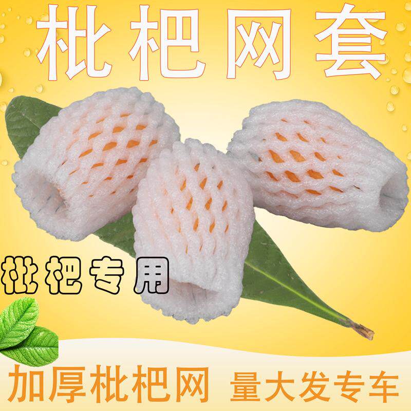 枇杷草莓防震防磕碰珍珠棉网套