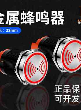蓝波22FM金属蜂鸣器红色间歇闪光高分贝断续声光报警器12VAC220V