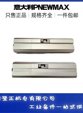 PNEWMAX气缸1321.63.350.01V