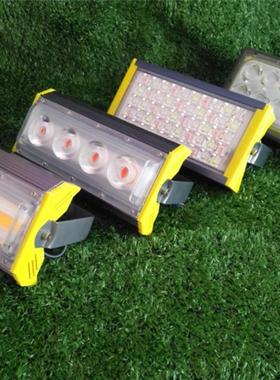 led投光灯射灯室外户外照明广告防水50w100W照树30w金黄绿色 红色