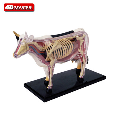 4Dm aster 奶牛模型仿真动物拼装积木儿童益智玩具幼儿园科学教具