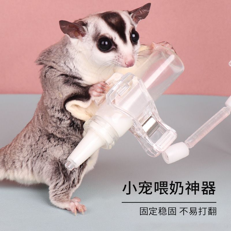 小宠喂奶神器蜜袋鼯金丝熊幼崽喂奶支架小奶瓶仓鼠生活用品