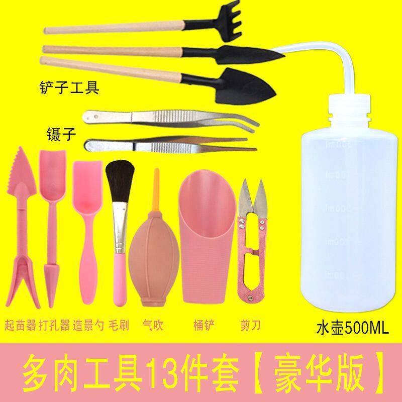 多肉园艺工具套装家用镊子铲子迷你盆栽植物养花养护工具