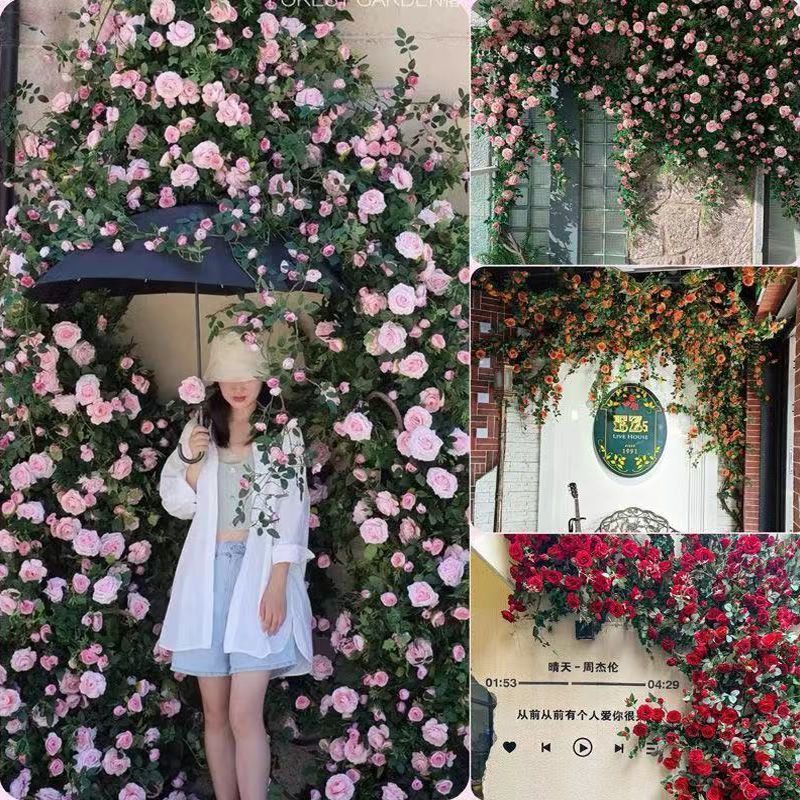 网红仿真玫瑰花藤瀑布花墙假花空调管道门头藤蔓装饰遮挡花条
