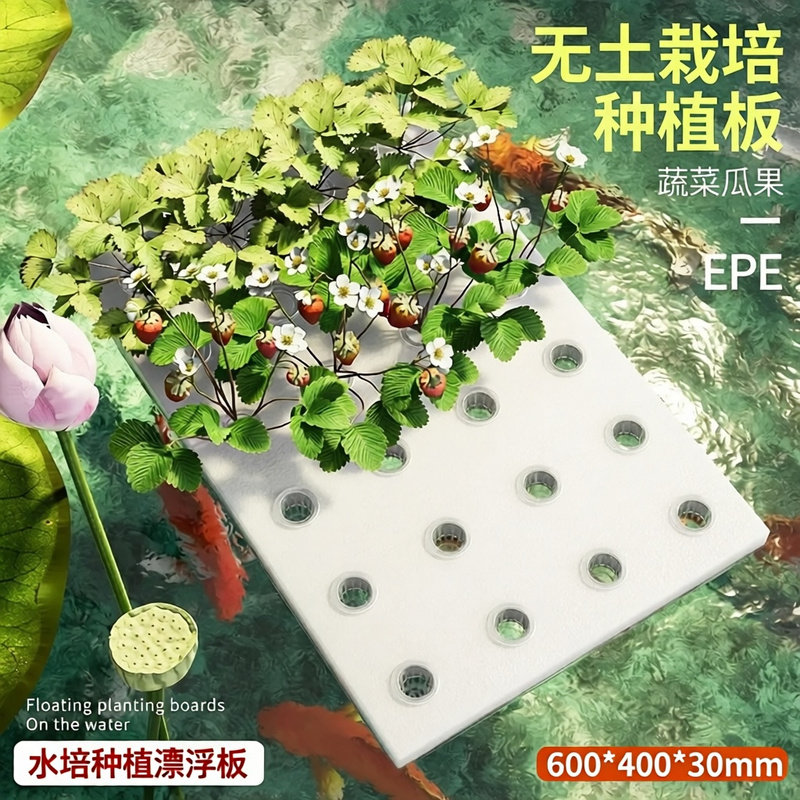 海绵小方块无土栽培种植棉水培蔬菜定植种菜大棚湿透气泡育苗海绵