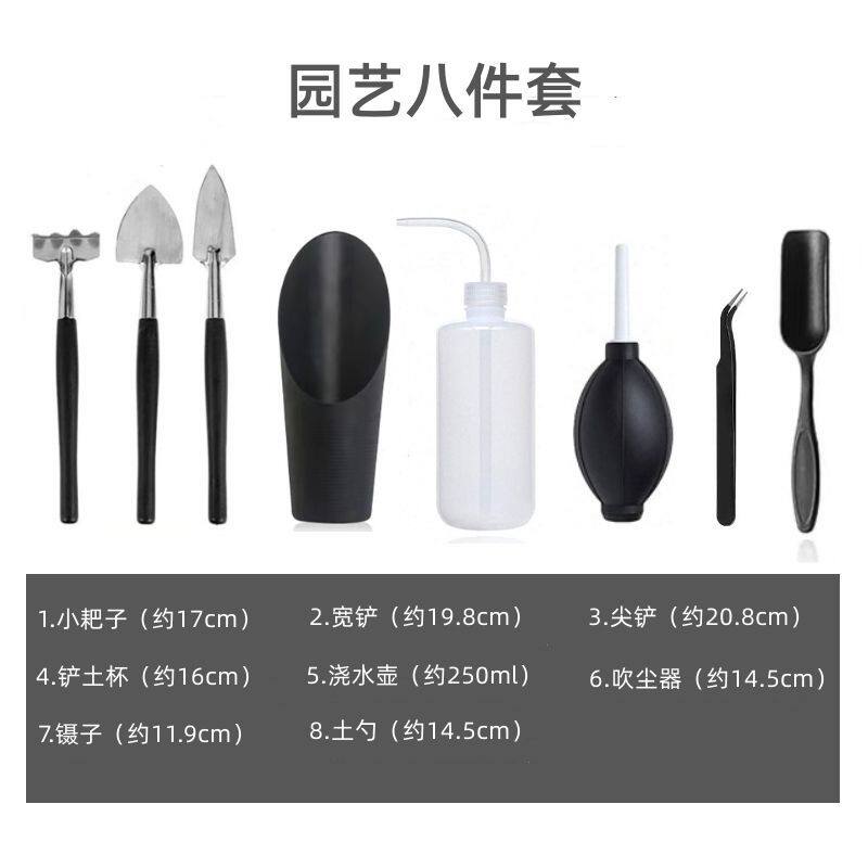 新手绿植多肉全套种植工具家用种花园艺三件套入门套装