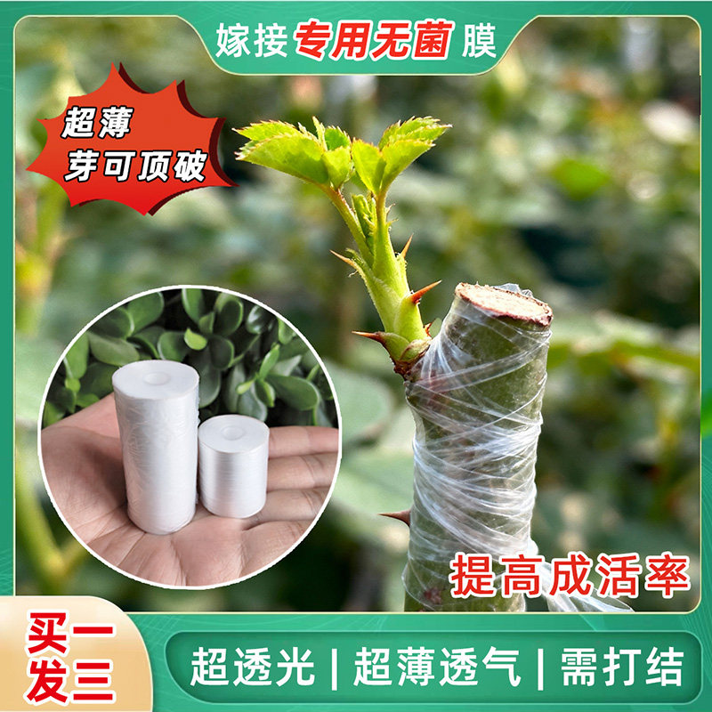 果树嫁接膜八角无菌免拆膜月季盆景嫁造型接绑带绕非糯米纸打结膜