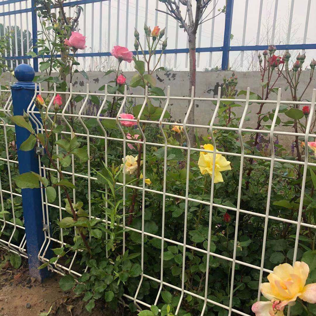 厂家桃型柱护栏网停车场围墙护栏网河道水库围栏网园林景区防护网