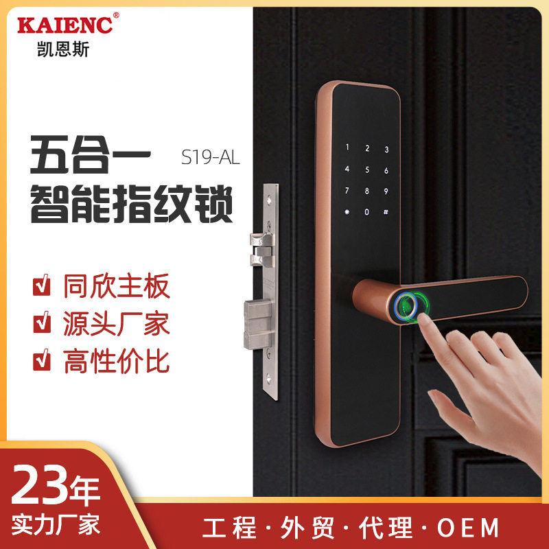 公寓锁木门密码刷卡锁民宿酒店锁APP管理工厂直销卧室门锁