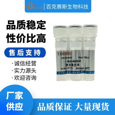 Anti-ANXA1 Monoclonal antibody 实验用单克隆抗体