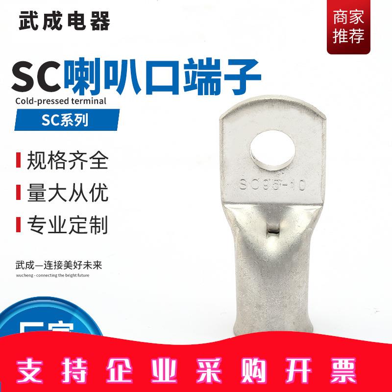喇叭口镀锡紫铜T2端子铜管接线冷压端子喇叭口铜鼻子连接器