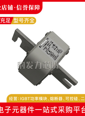 170M6167 170M6168 170M6169 170M6170 170M6171全新熔断器现货