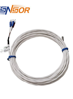 台湾EYC出线式热电阻 管径4MM 管长可选 出线5M TPFE 304材质