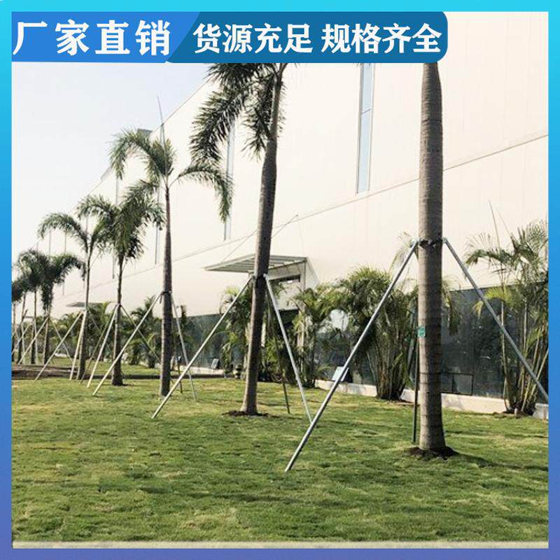 金属材质树木支架 园林树木支撑固定杆 表面镀锌工艺