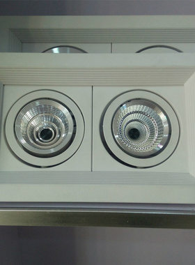 LED 天花灯 斗胆灯三头  3W 5W 7W 10W 15W 20W 30W 外壳套件