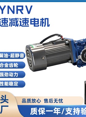 交流减速马达RV030/040/050/063涡轮蜗杆调速电机40w/60W/120W/25
