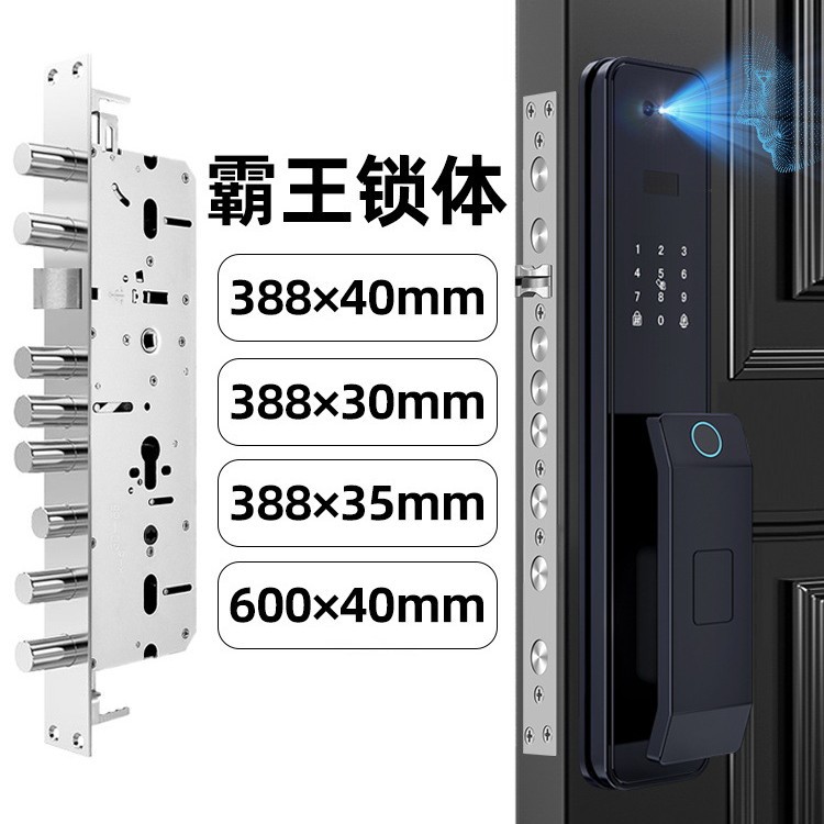 霸王锁体智能锁刷脸指纹密码