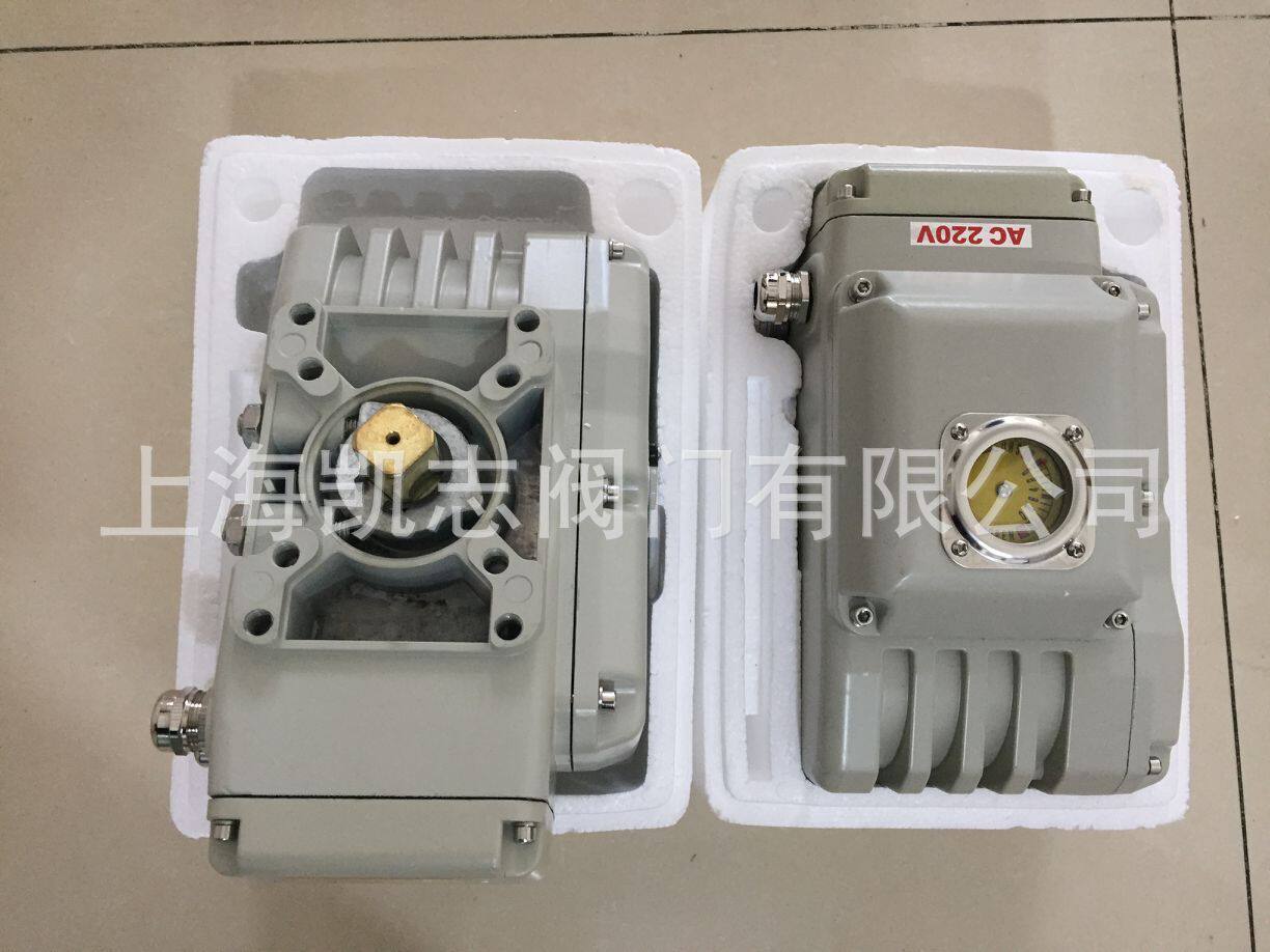 BS-100精小型电动执行器BS-60BS-200执行机构体积小巧精度高