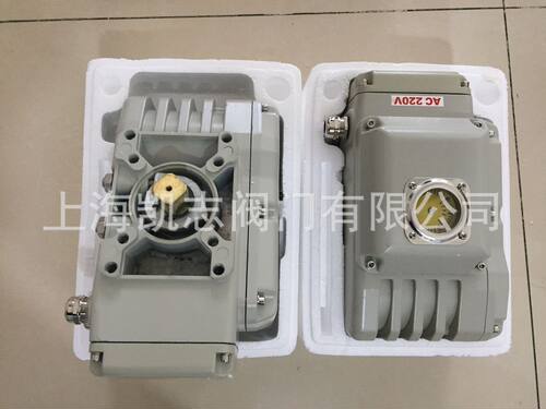 BS-100精小型电动执行器BS-60BS-200执行机构体积小巧精度高