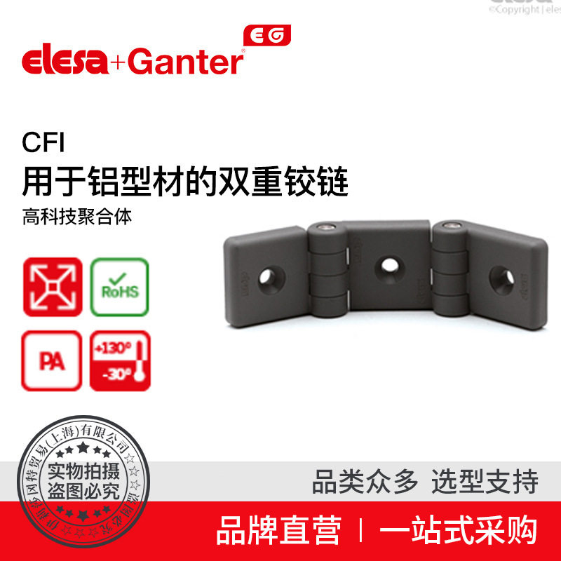ElesaGanter伊莉莎冈特CFI.用于铝型材的双重铰链高科技聚合体