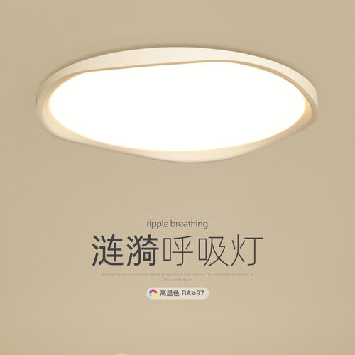 2025新款现代简约LED吸顶灯
