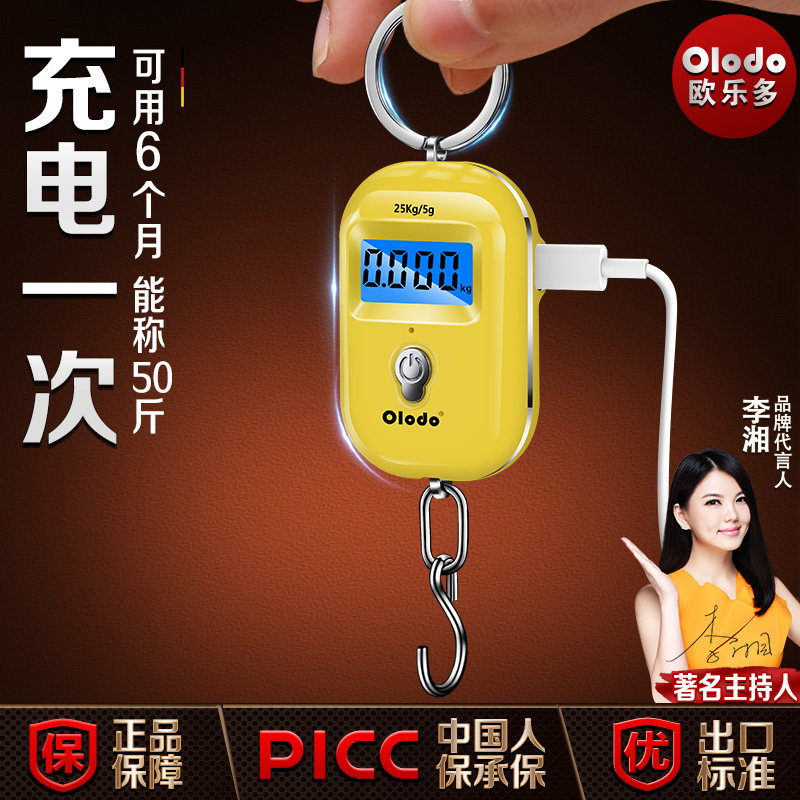 迷你称重电子秤手提秤便携精准家用小型买菜随身携带小钩秤充电款