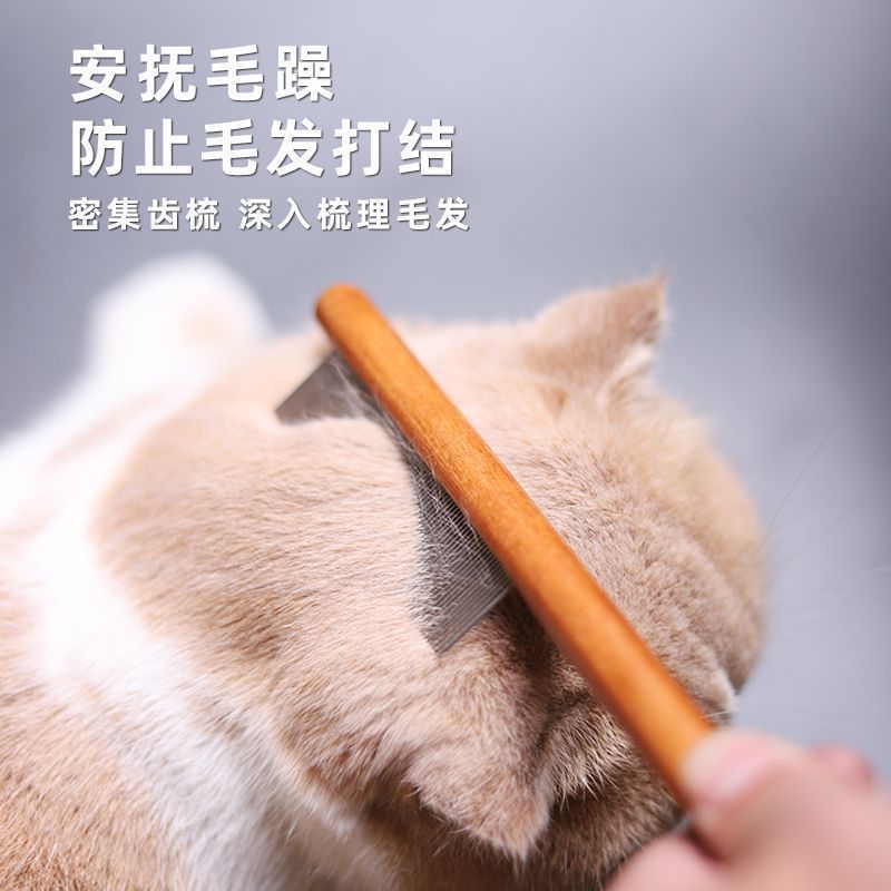小猫兔子仓鼠宠物密齿针梳排梳猫咪专用梳毛刷开结去除浮毛