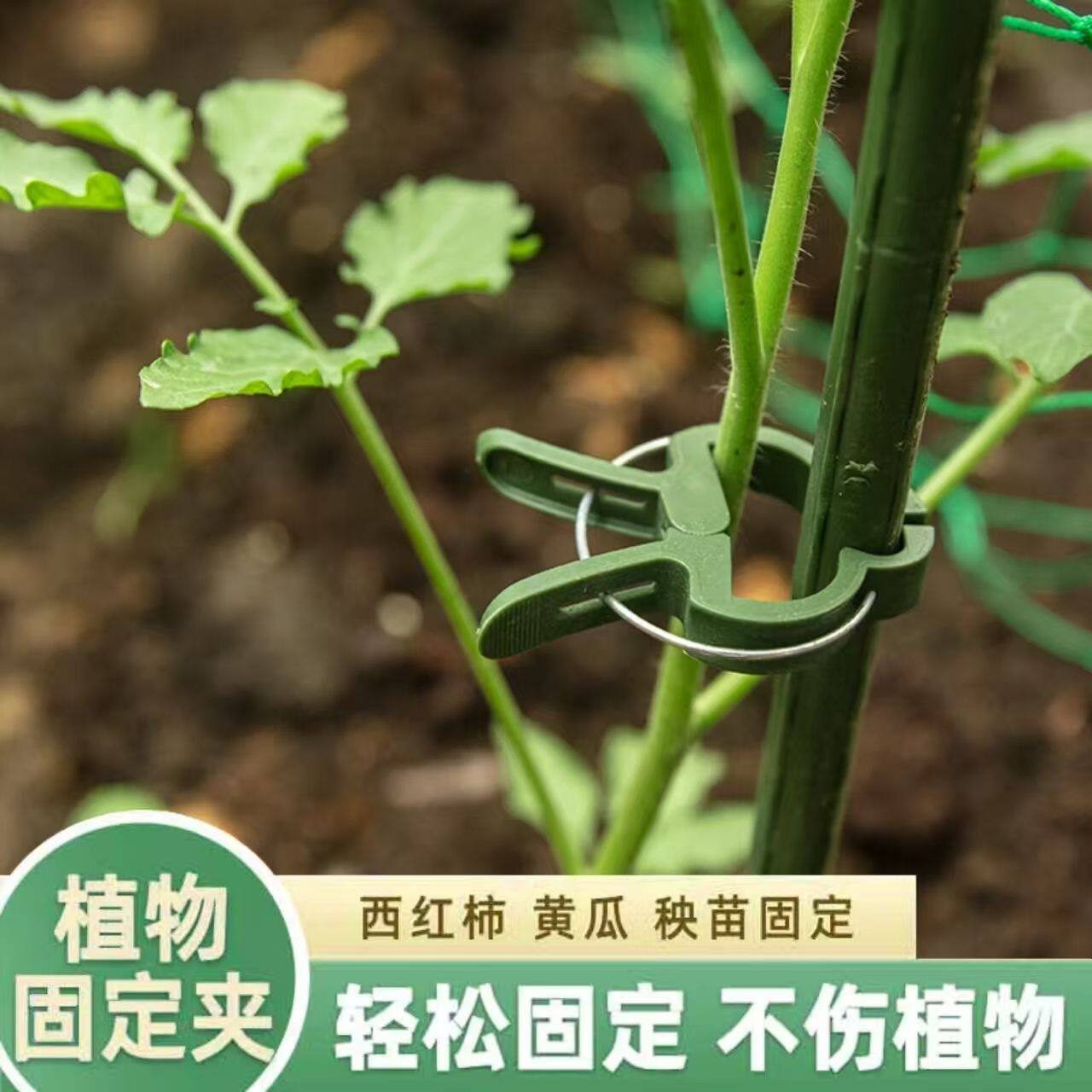 园艺塑料枝条夹黄瓜西红柿藤蔓支撑夹园林植物花卉固定工具