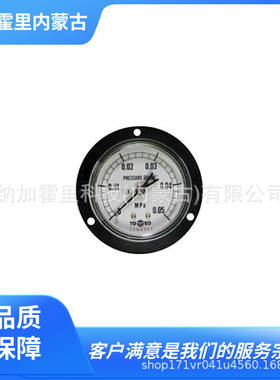 TOAKO东洋计器 压力计 DU1/4G 60×0.05MPa DU1/4G 60×0.1MPa