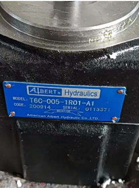ALBERT艾伯特油泵T6C-020-1R03-A1叶片泵 全新现货
