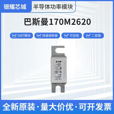 巴斯曼170M2620人防熔断器