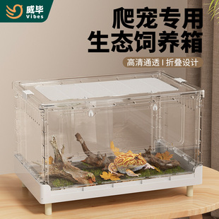爬宠饲养箱蜥蜴守宫陆龟角蛙爬柜蜘蛛蛇爬虫盒超大折叠生态缸造景