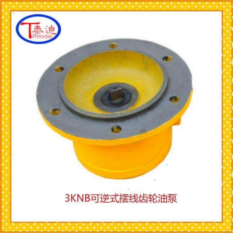 2KNB-4A可逆式摆线齿轮油泵 双向润滑泵 微型双向油泵