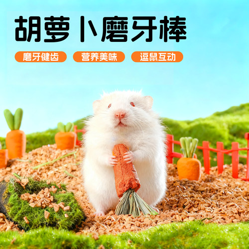 仓鼠磨牙棒胡萝卜兔子零食豚鼠