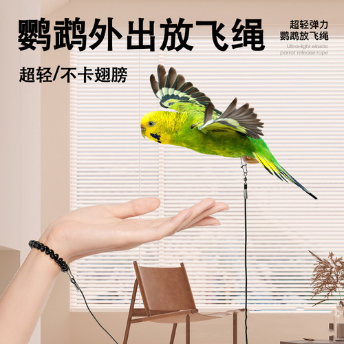 鹦鹉放飞绳超轻脚环脚链不勒牵引绳外出训练虎皮牡丹玄凤溜鸟神器