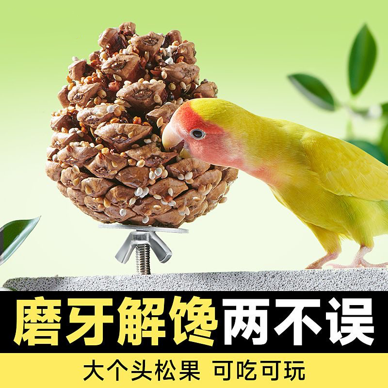 鹦鹉奖励零食棒磨喙松果球