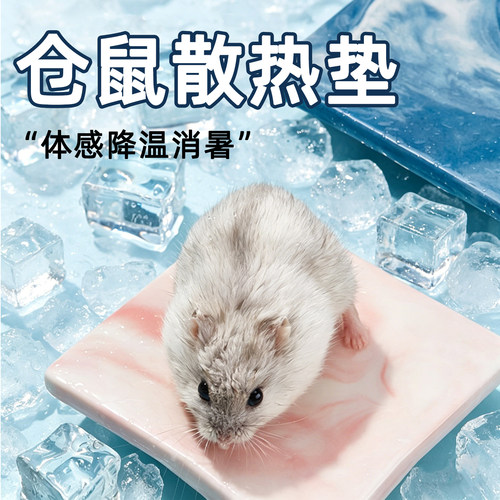 仓鼠冰垫大理石散热板冰屋