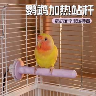 鹦鹉过冬神器站杆加热棒鸟站架保温鸟用站棍恒温取暖器冬季磨爪棒