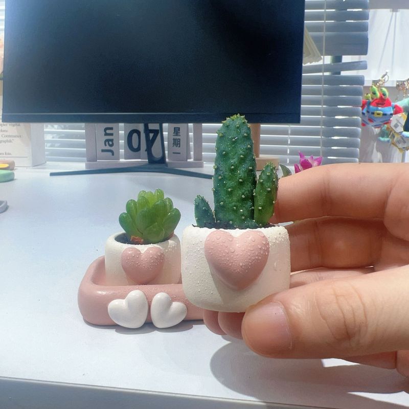 创意多肉拇指小花盆桌面办公室绿植新手好养活盆栽