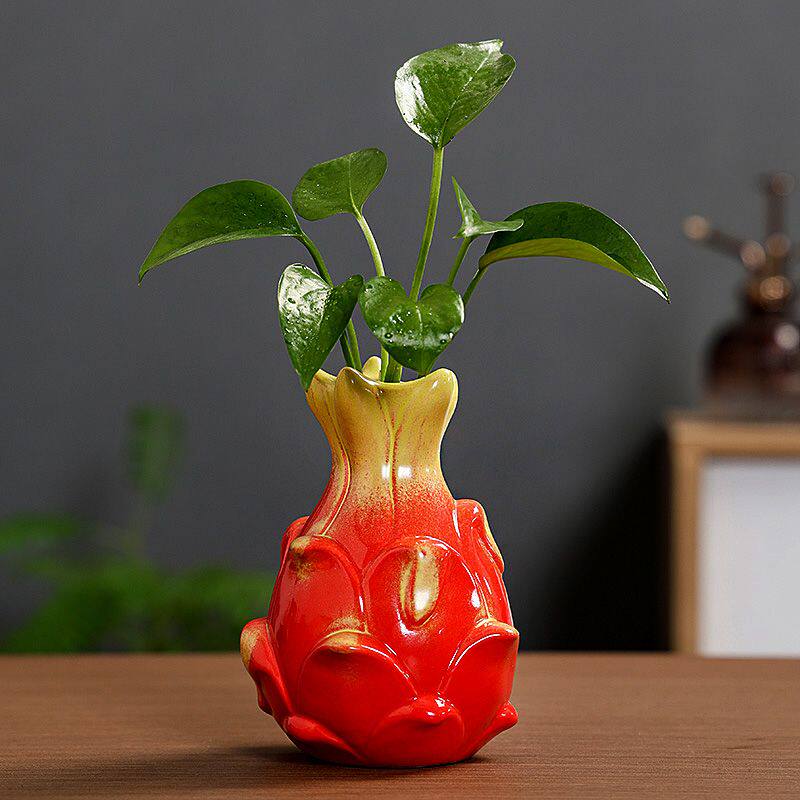 火龙果陶瓷花瓶桌面水培花盆创意摆件绿萝水养植物红红火火花器