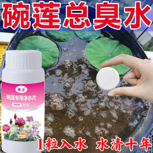 免换水碗莲专用净水片水培植物净水片去浑净水质促根促长净水片