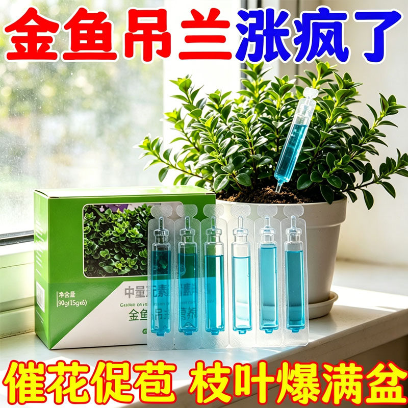 金鱼吊兰花防黄叶黑斑营养液