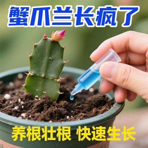 蟹爪兰专用肥料养花肥料免稀释