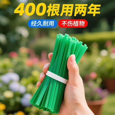 【限时抢】多功能加粗园艺捆扎线辅助爬藤蔓固定器细铁丝包塑扎带