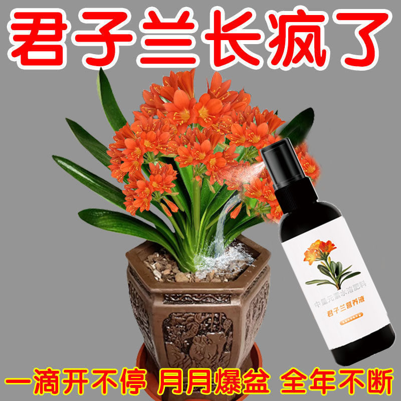 君子兰夹箭肥料君子兰营养液促箭剂催根开花保绿水培通用营养液,鲜花速递/花卉仿真/绿植园艺,家庭园艺肥料,淘宝优惠券,粉丝福利购,淘宝优惠卷